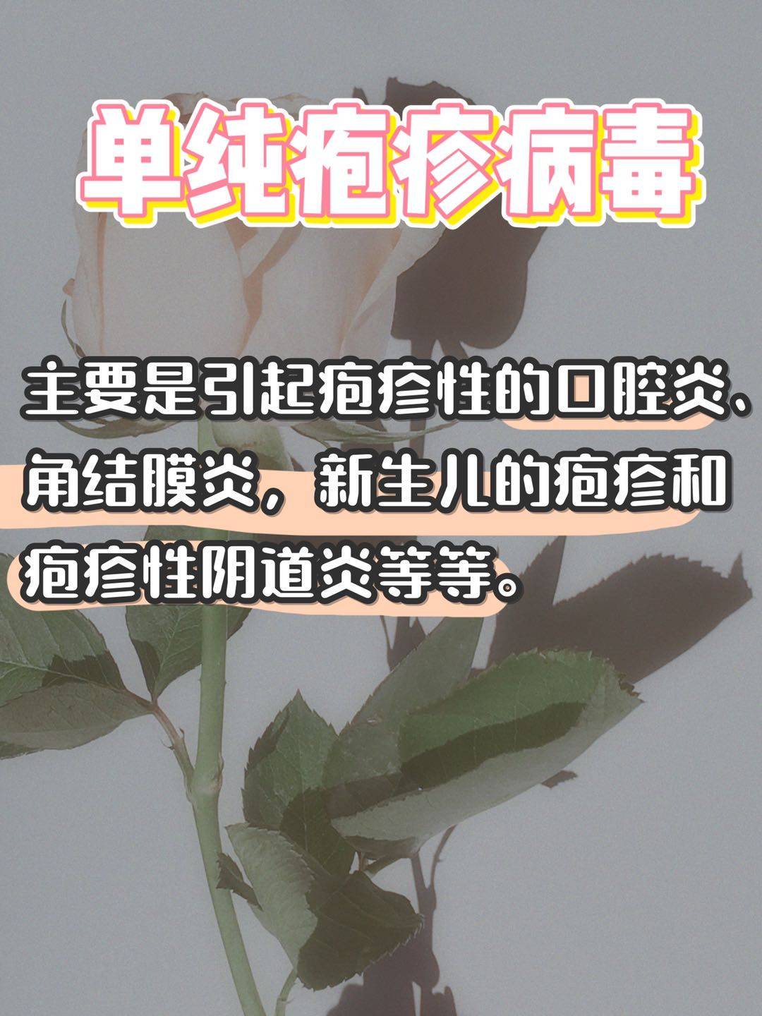 孕婦若被其中任何一種病毒感染以後,她自身的症狀是比較輕微的,甚至是