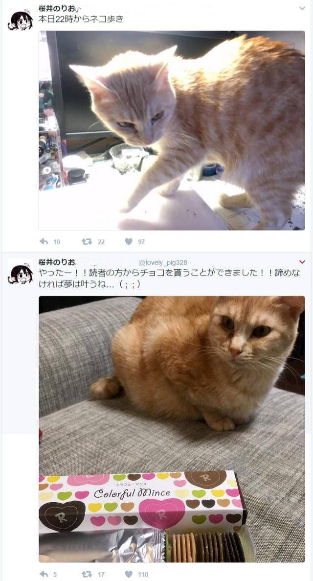 关注漫画家是为了看色图,搞些猫猫狗狗干嘛呀