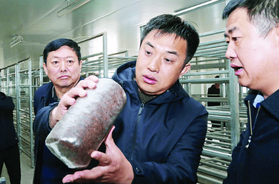 县委书记赵沂旸在菌棒厂实地考察