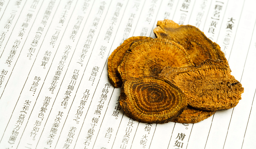 大黄,中国四大中药之一,黄棒菜"身上"就有!