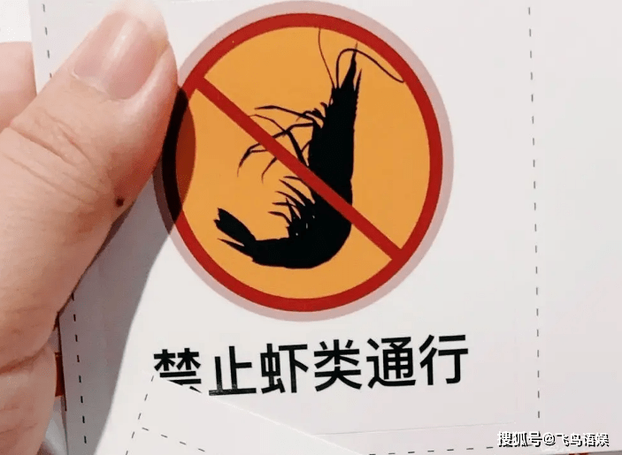 肖战被写进漫展藏头诗,对联,条幅?漫展特色惹争议!_同人