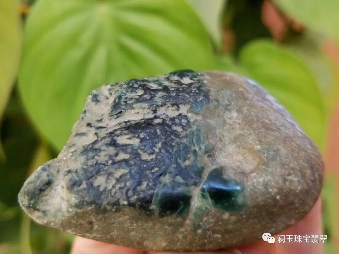 色根的表现形式都有哪些