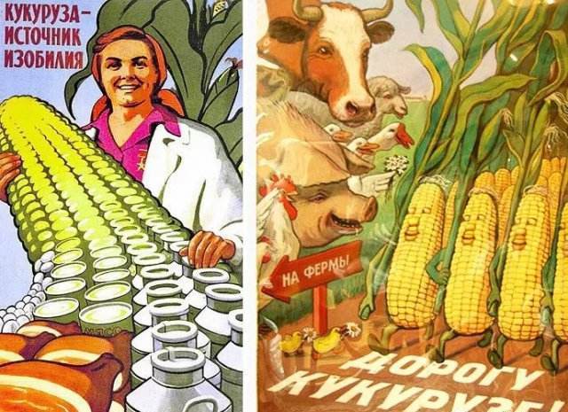 玉米政策宣传画相反,苏联各地种植的玉米虽然不乏丰收的新闻,但是更多