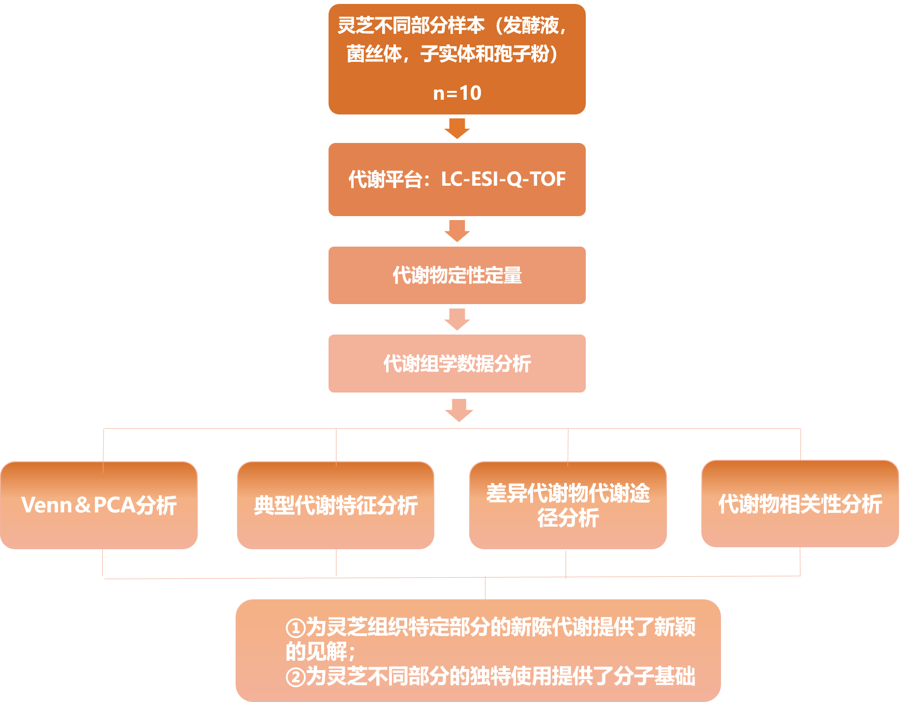 非靶向代谢组学助力中国农科院灵芝代谢特征研究