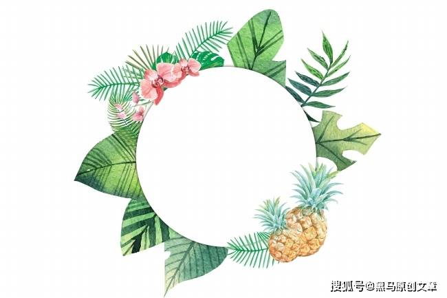 大多成功者皆自恋,自恋是自信的基石_卡莉·费奥瑞纳