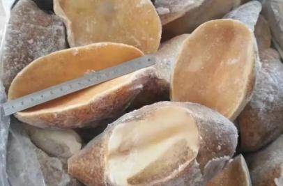 鲍鱼你买对了吗?市场上有种"假鲍鱼"劝大家别再买了,看看吧!_盛记