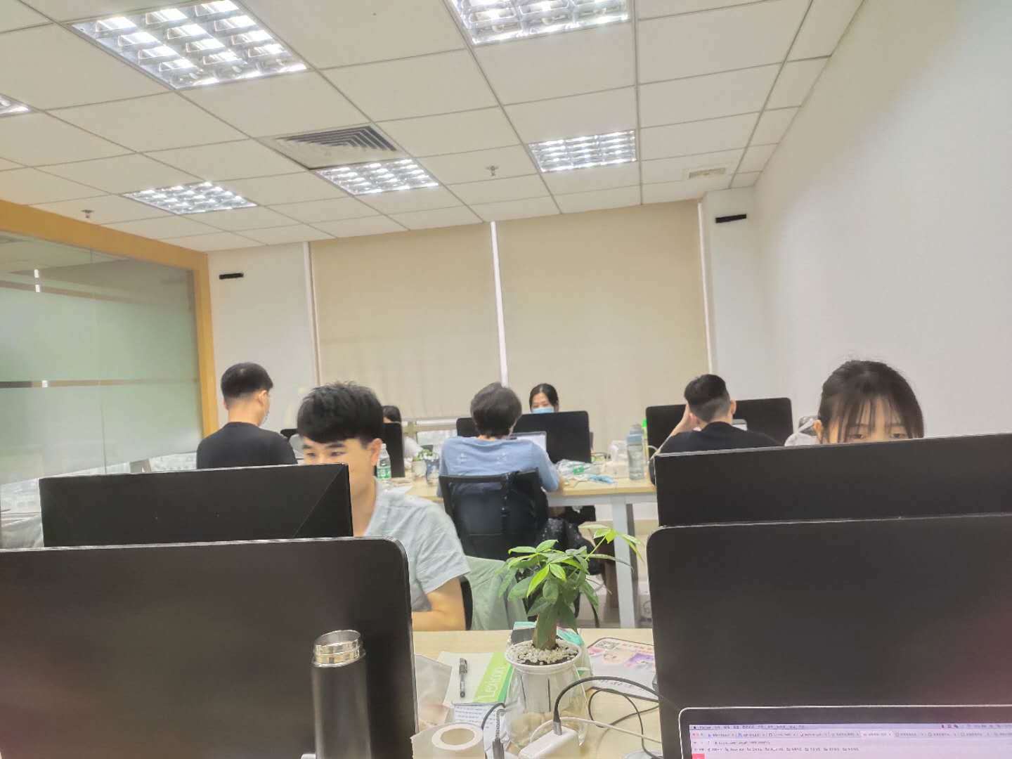 东莞软件定制开发