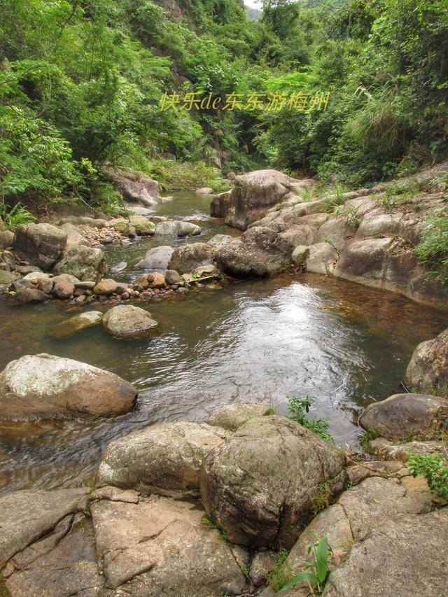 夏日炎炎酷暑难耐明山嶂下溪水冰凉原来梅州人溜到这里避暑了