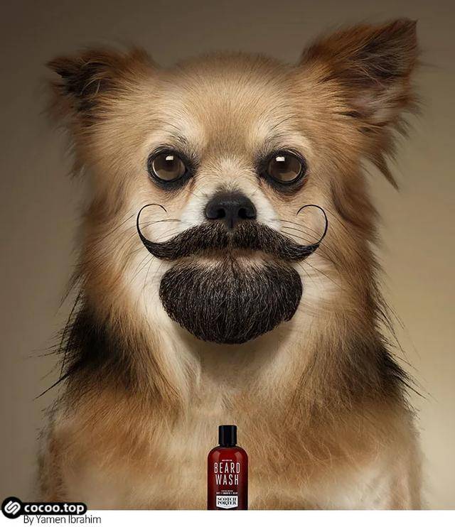 广告图形太枯燥用幽默拯救一下