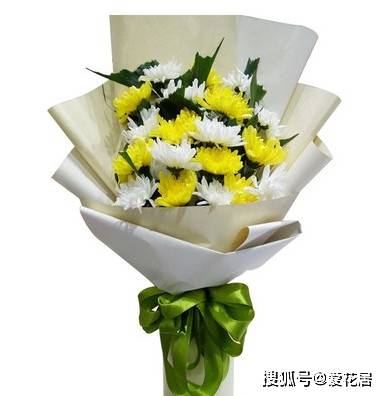 【送花禁忌】扫墓鲜花一般几朵?扫墓鲜花不出错推荐_手机搜狐网