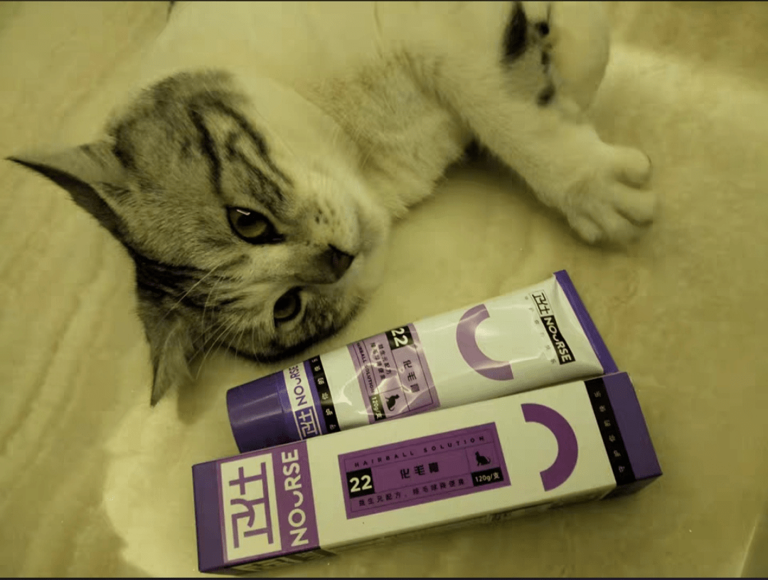 化毛膏是让猫咪吃了将消化道内毛球排出的药品.