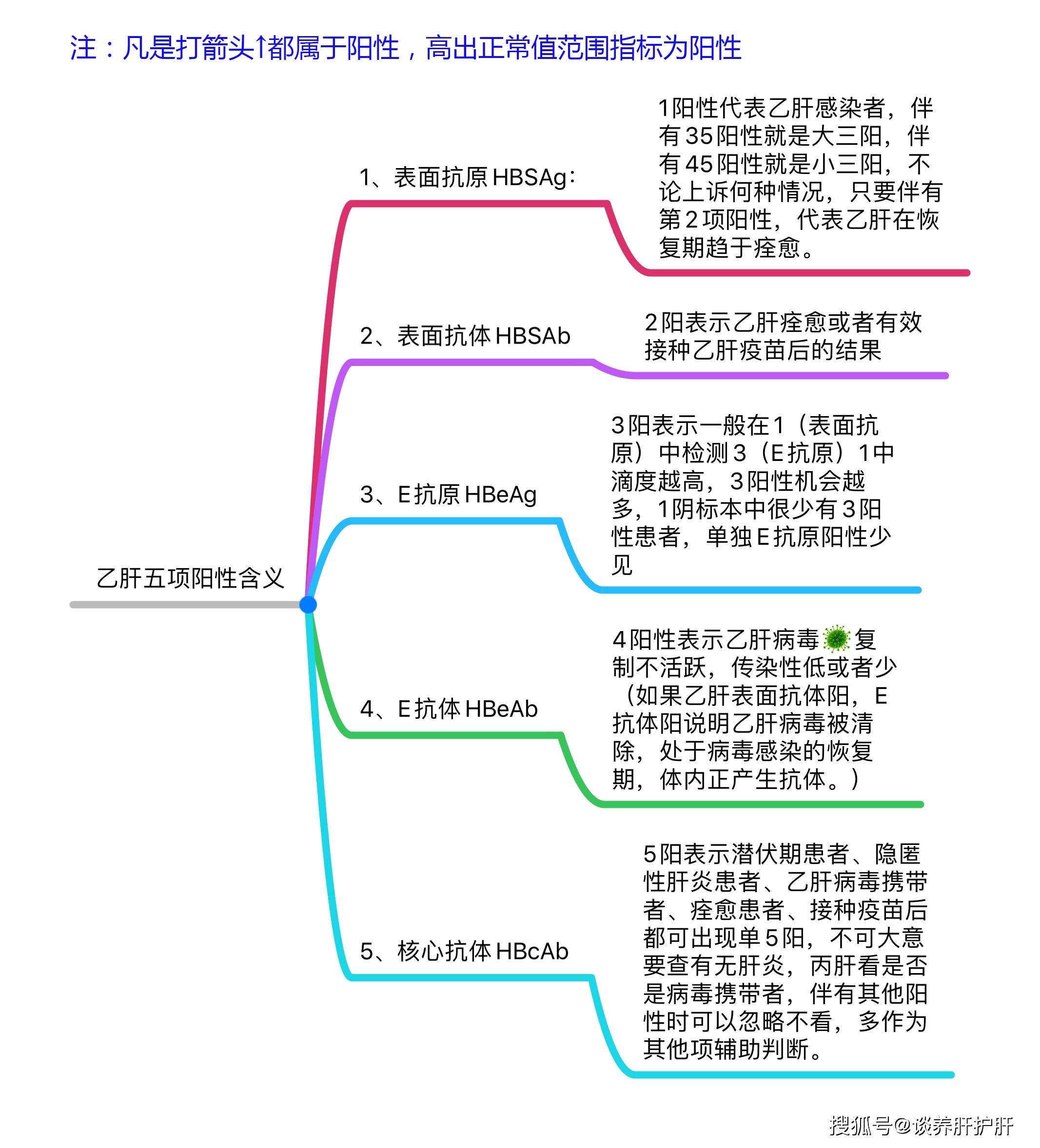 王安生解答乙肝五项检查单看看你懂多少