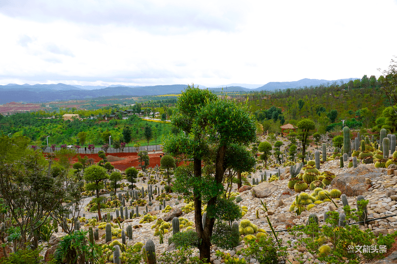独家新增山地石漠化地公园网红打卡点,趁还没人满为患,赶紧!