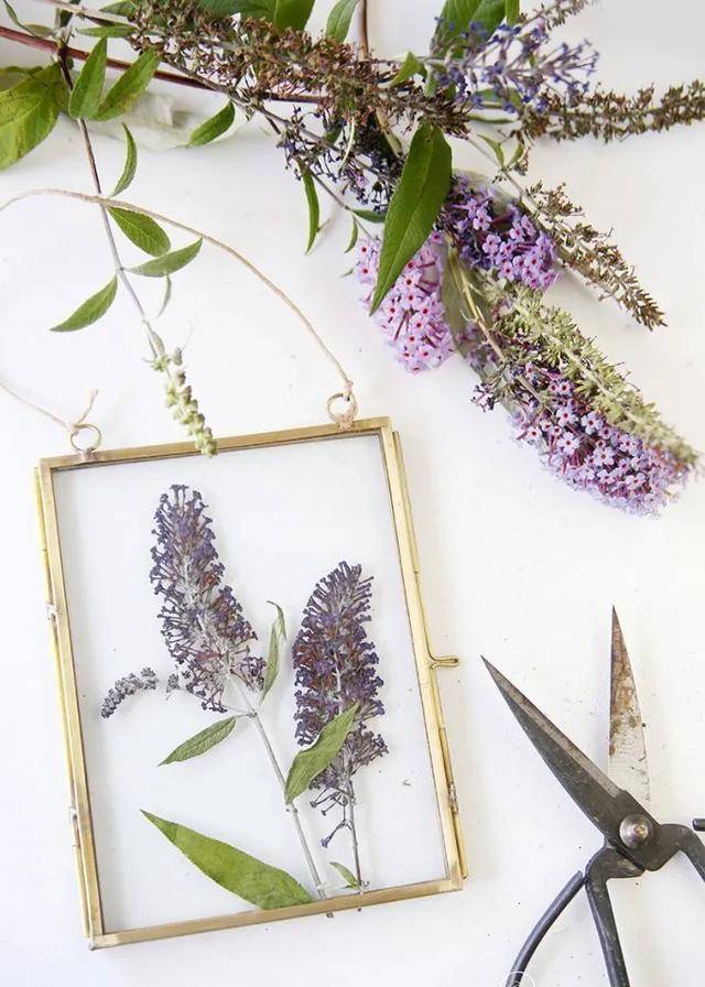 押花,一种很简单很美好的工艺,将鲜花或植物完全压出水分,变得平整的