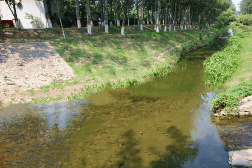 顺义区后沙峪镇龙道河水体整治交出满意答卷_河道