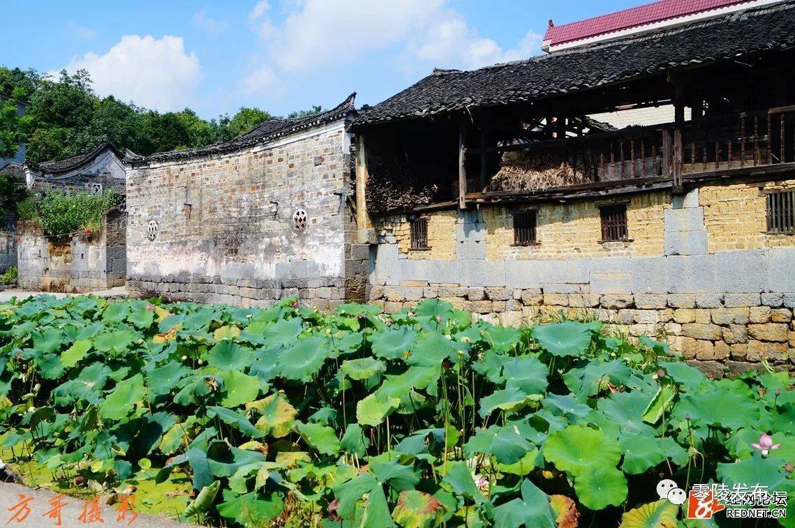 永州旅游推文里发现了这个地方-永州市零陵区大庆坪古村落黄家湾古村