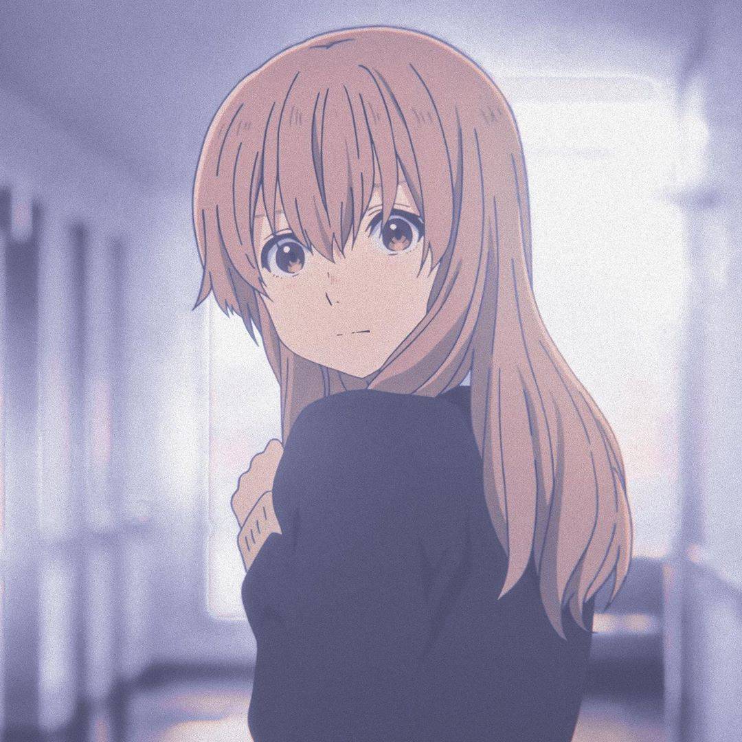 高清无水印自截动漫头像分享声之形