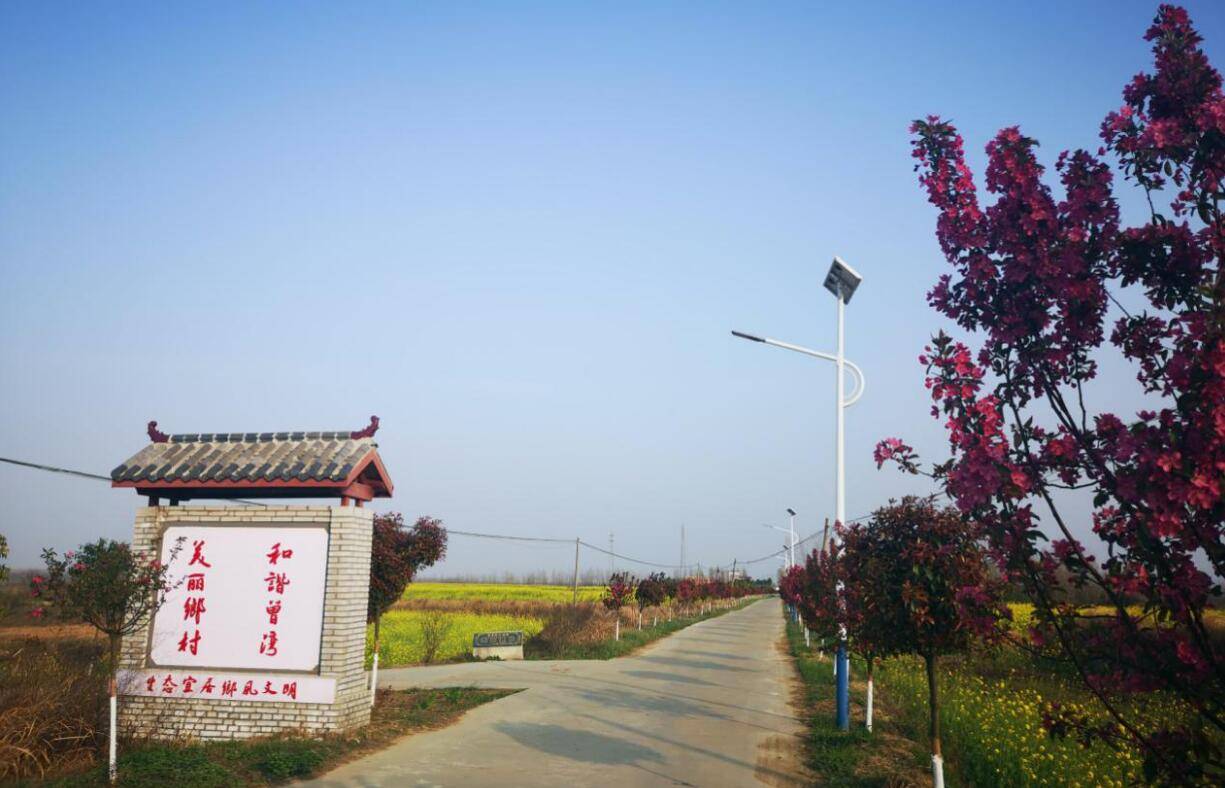 2020-08-06 16:05 来源: 信阳周刊新闻网 光山县仙居乡独山脚下樱花