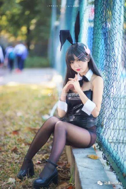 兔女郎有千百种 麻衣学姐就一个!