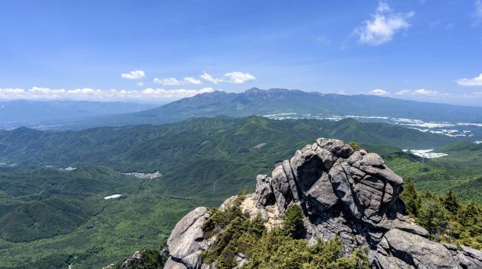 2020年厨电半年报：新旧品类两重天，巨头地位难撼动！-家电圈官网