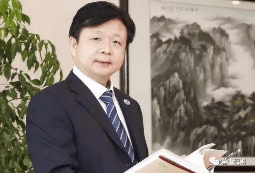 宋伟杰和他的资本权术江湖