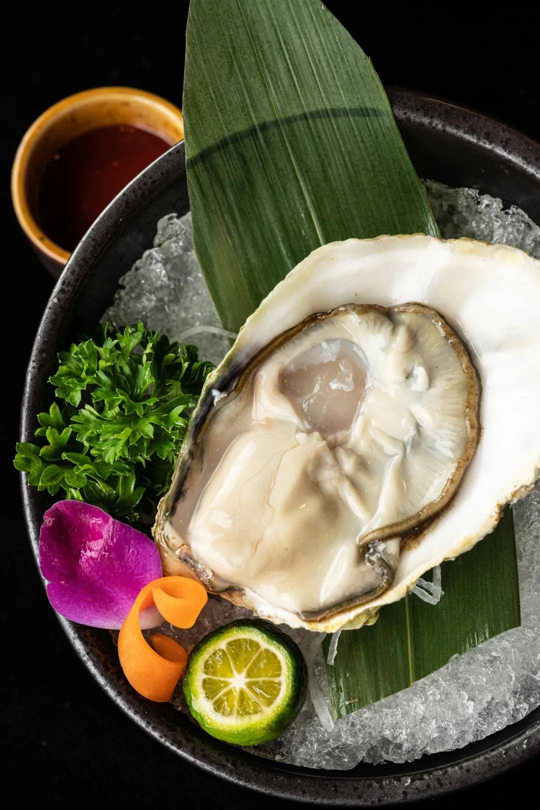 老板接触日料已经10 年了,拥有食材的 第一手资源,而生蚝都是 来自