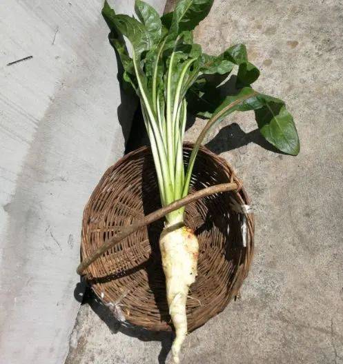 45岁男子突发肾衰竭得知原因妻子痛哭不知道这东西不能吃