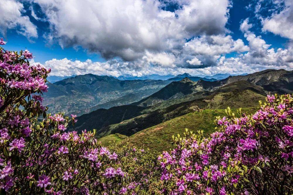 50 四川涼山州大涼山