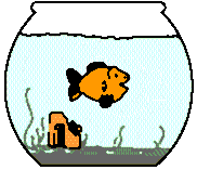 182_157gif 动态图 动图