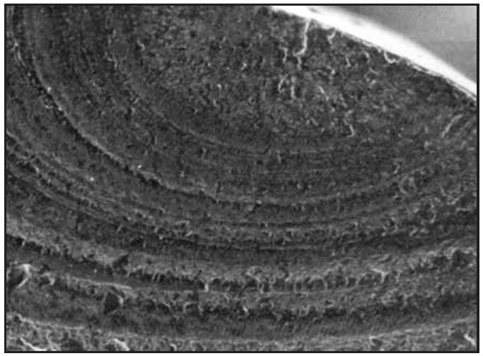 钢丝绳弯曲疲劳断丝分析