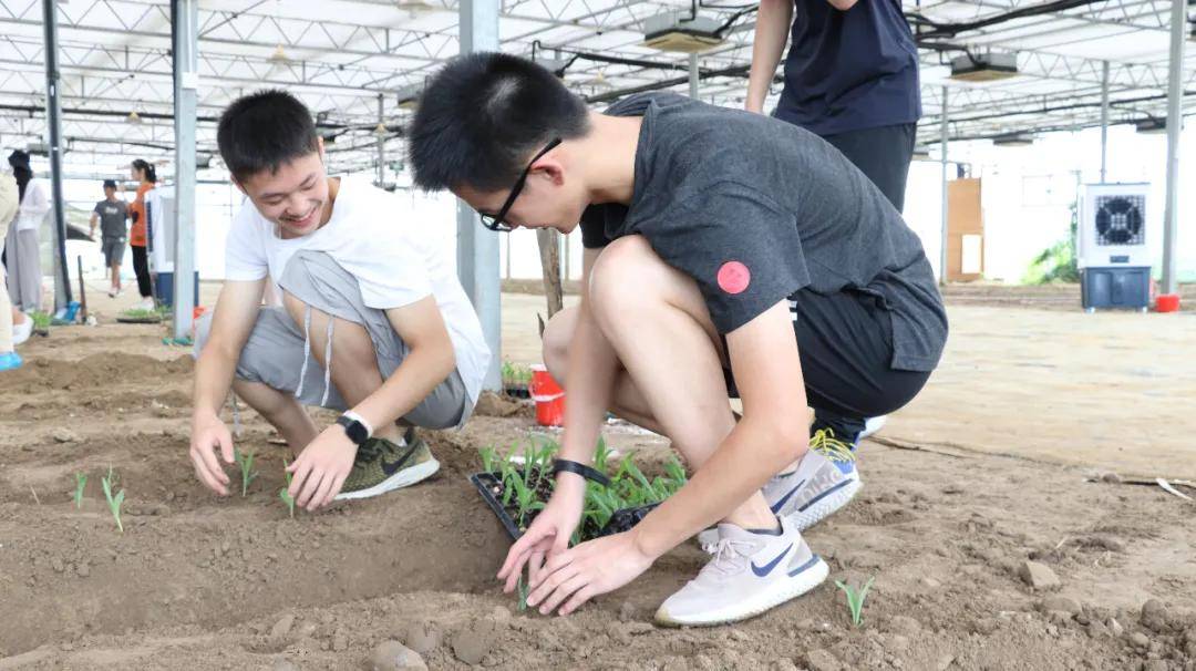 杭州湾研学营地图片