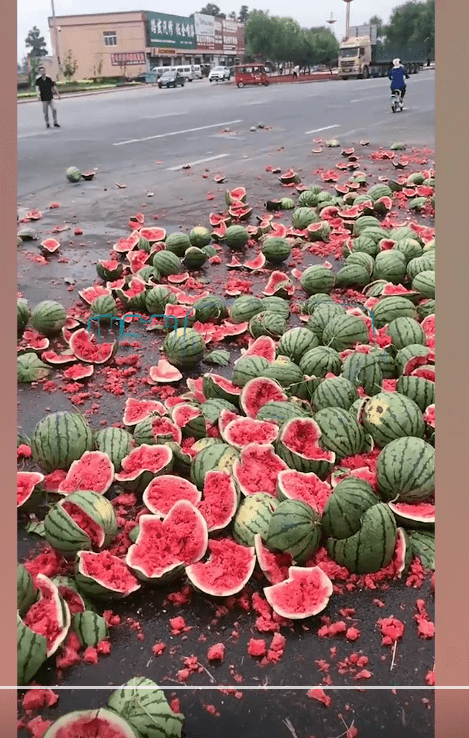 瓜农不满城管执法摔碎一车西瓜执法不应伤农