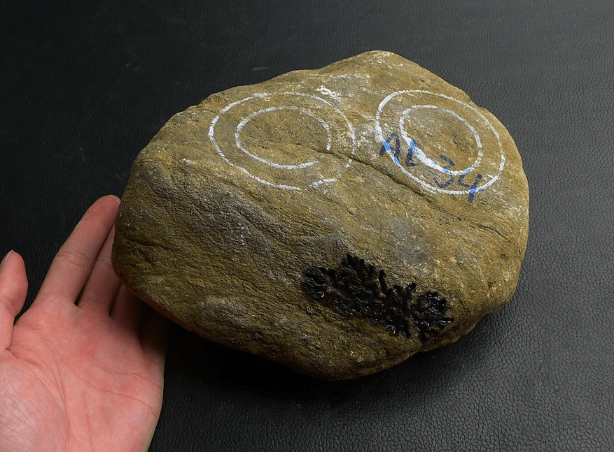 原创易出高货的莫西沙铁锈皮原石,你了解吗?