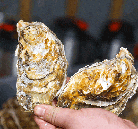 宁波这个湘菜馆太疯狂14家店1元1只乳山生蚝夜宵68折开吃