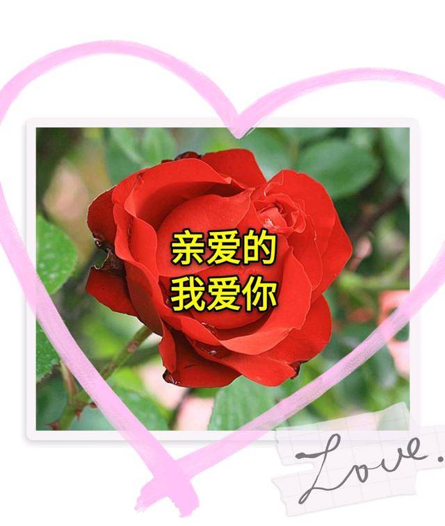 亲爱的我爱你朝思暮想的你一直都在我心里