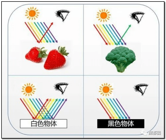 背后隐藏中国最大骗局!_颜色