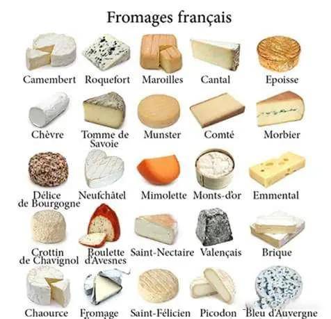 法国常见奶酪品类大揭秘_手机搜狐网