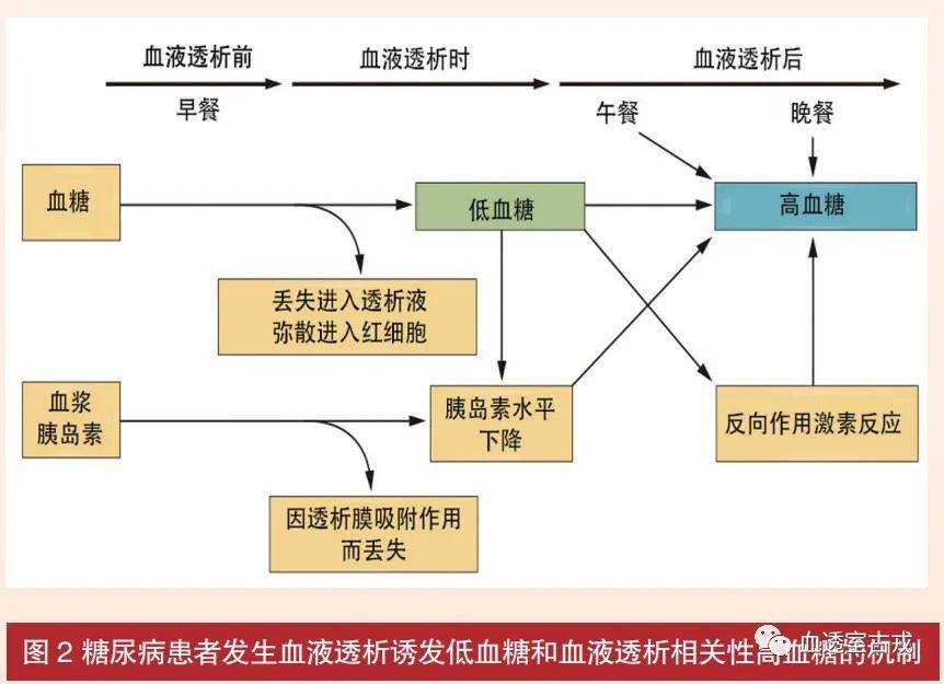 血液透析相關低血糖及糖代謝紊亂