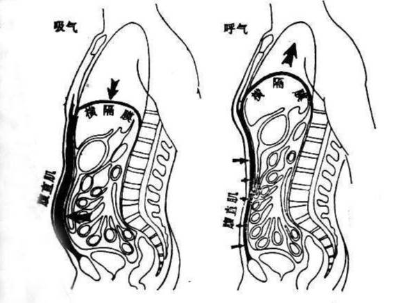 人体呼吸示意图简笔画图片