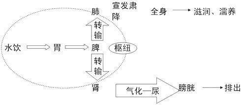 得肺病的越來越多看看中醫是如何養肺的