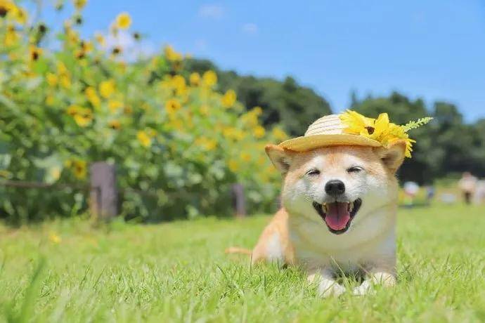 图片[3] - 【xizi被窝段子20200818】人生的旅程就是这样：用大把时间迷茫 在几个瞬间成长 - xizi