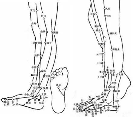 足少陽膽經:足竅陰,俠溪,足臨泣,陽輔,陽陵泉;足陽明胃經;厲兌, 內庭