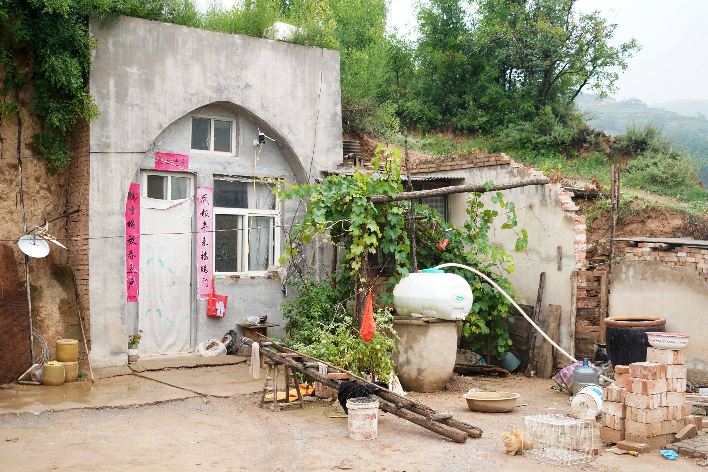 原创山西大山里农民大嫂和1只猫2000只小鸟留守咋回事