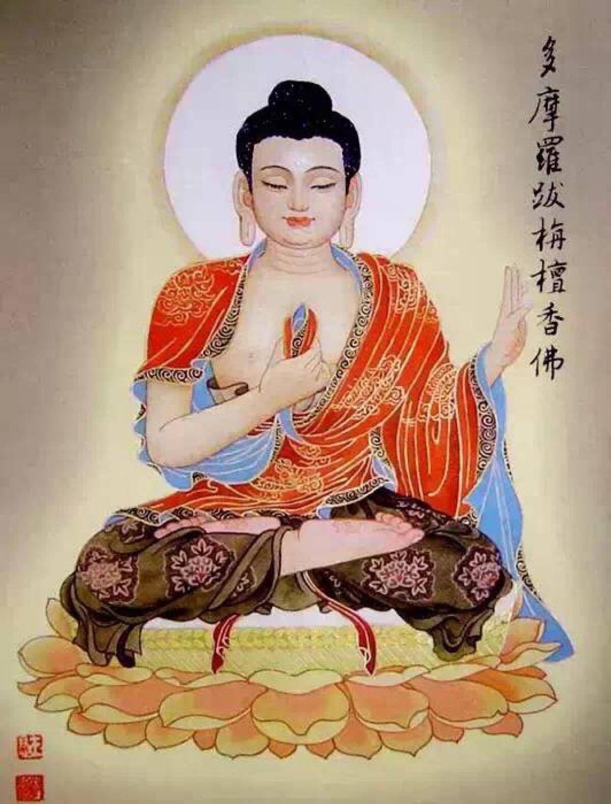 舍利弗倒粥的故事,声闻身舍终成多摩罗跋旃檀香佛