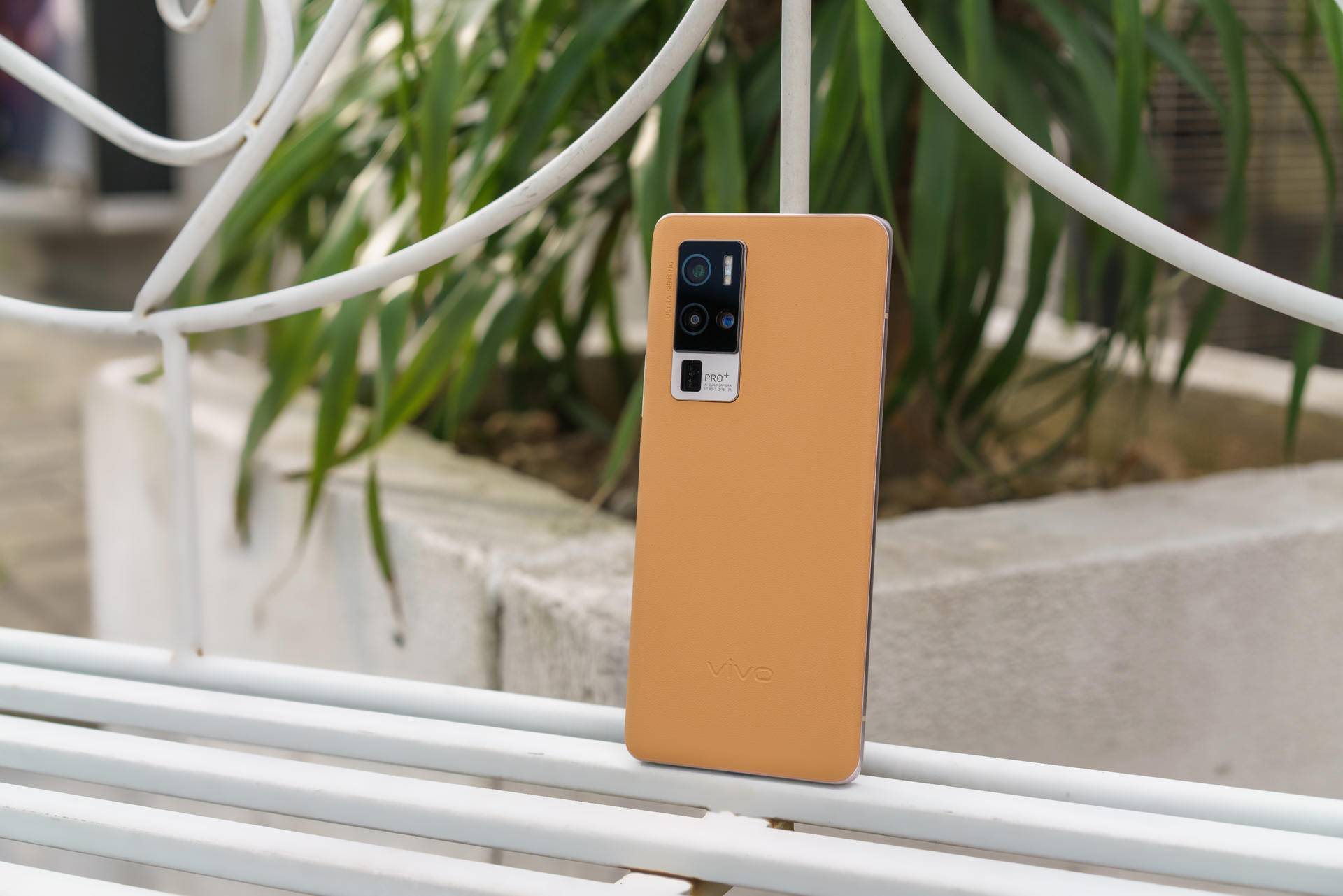 专业影像旗舰vivox50pro来了实力强到无所畏惧