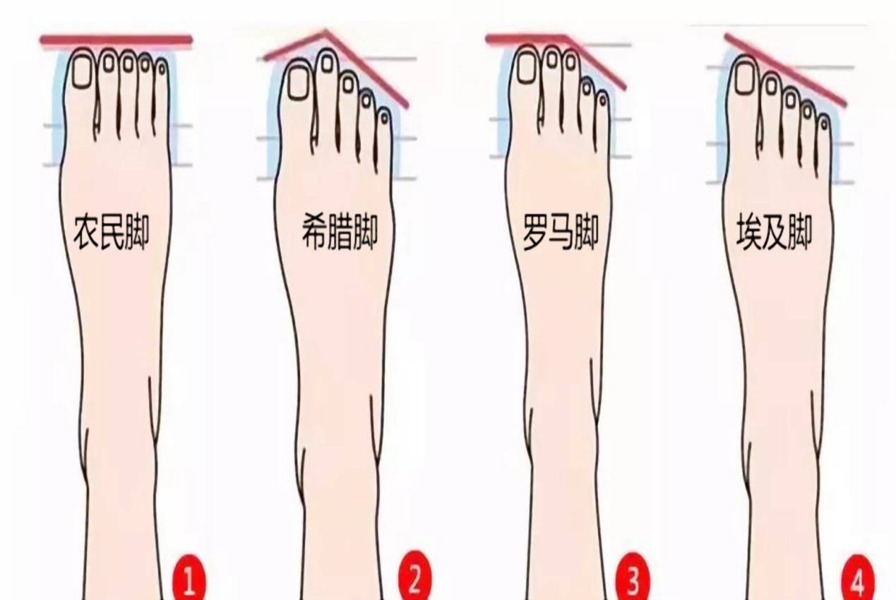脚型能"预知未来"?心理学家:孩子是什么脚型,就是什么命