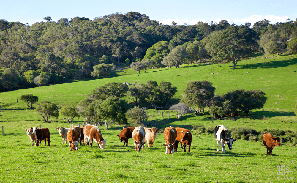 澳大利亚混合农业图片