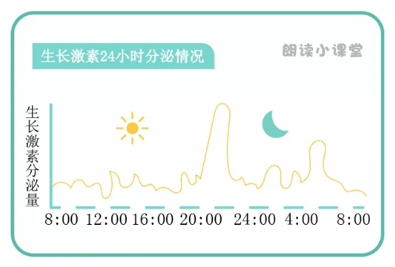 生长激素分泌时间图图片