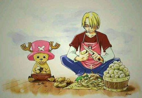 海贼王:草帽团的日常,路飞随时能睡,山治不愧居家好男人_乔巴