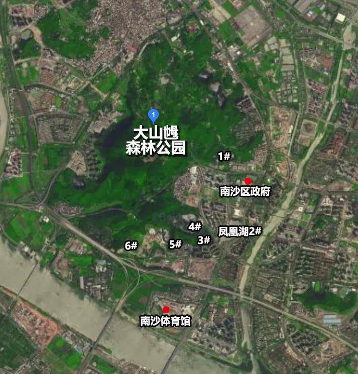连接7大凤凰湖,南沙第二大森林公园迎实质性动作!未来可期.